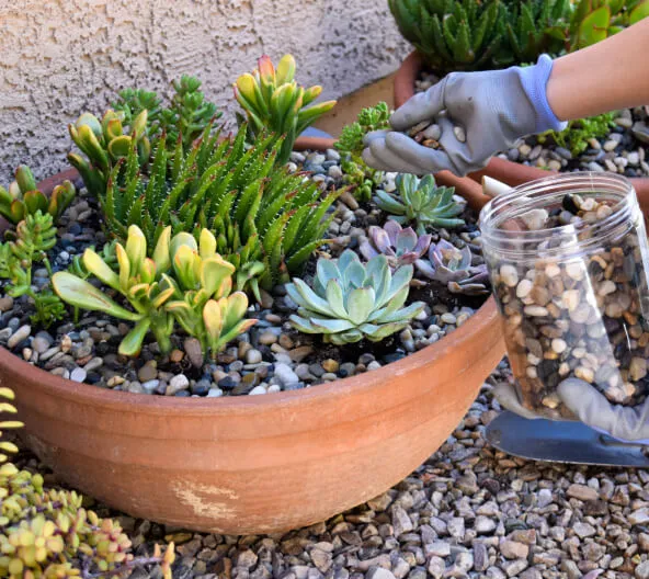 Decorative Pebbles & Natural Stones